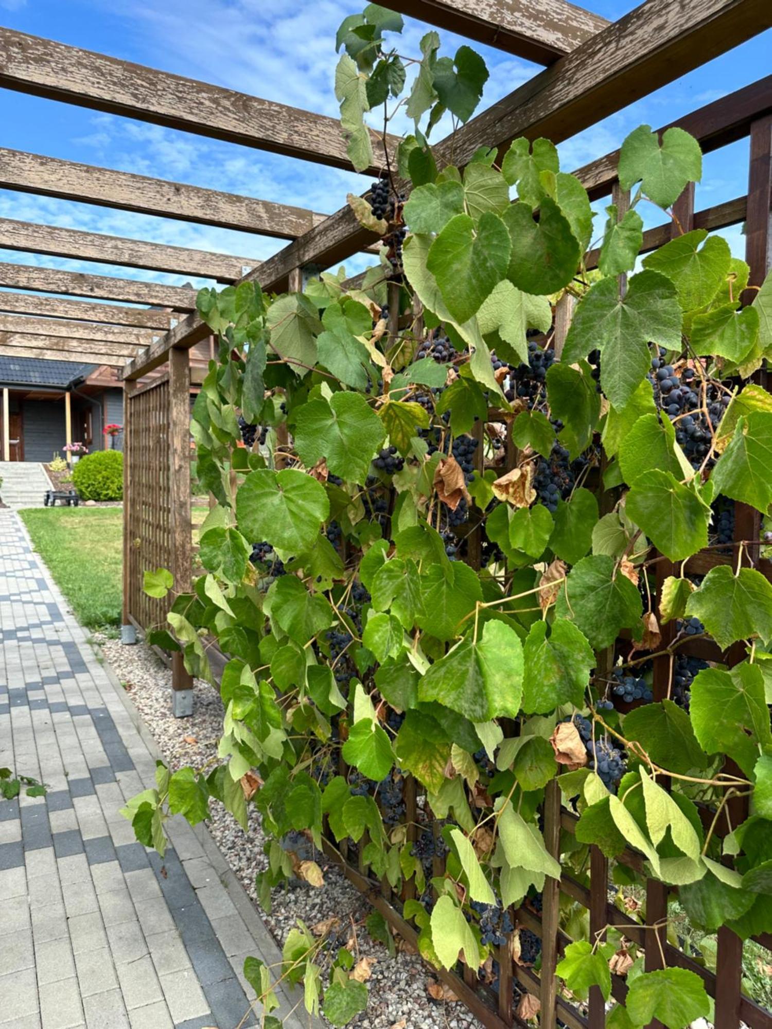 Rajska Przystan II Vila Wrony Exterior foto
